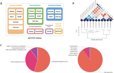 epiCOLOC: Integrating Large-Scale and Context-Dependent Epigenomics Features for Comprehensive Colocalization Analysis